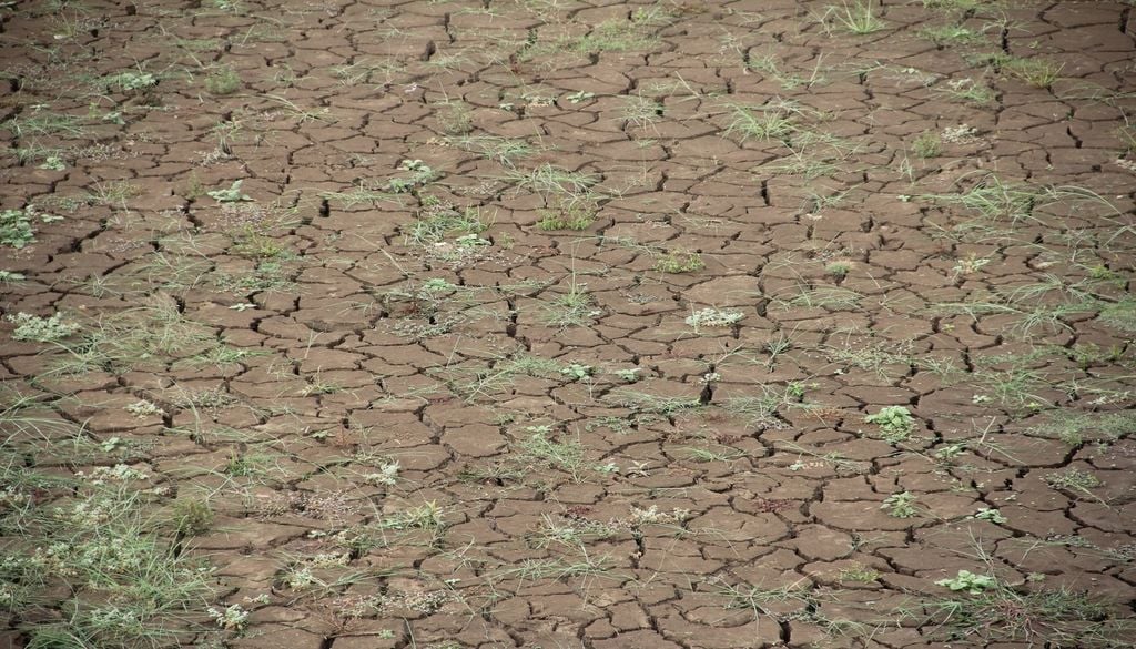 La sécheresse impacte directement le goût de nos aliments