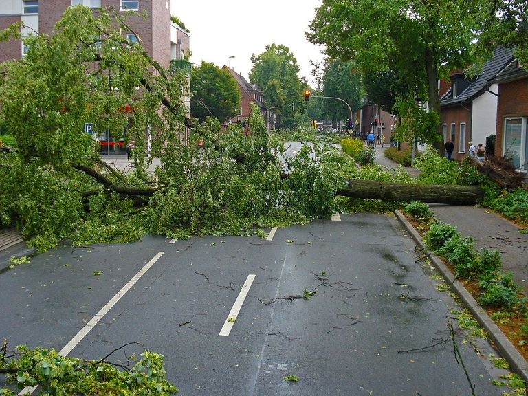tempête tempête