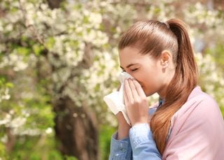 Riscaldamento globale: chi soffre di allergie ha molto di cui preoccuparsi!