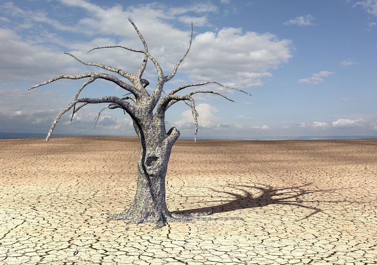 Régions tropicales inhabitables Régions tropicales inhabitables