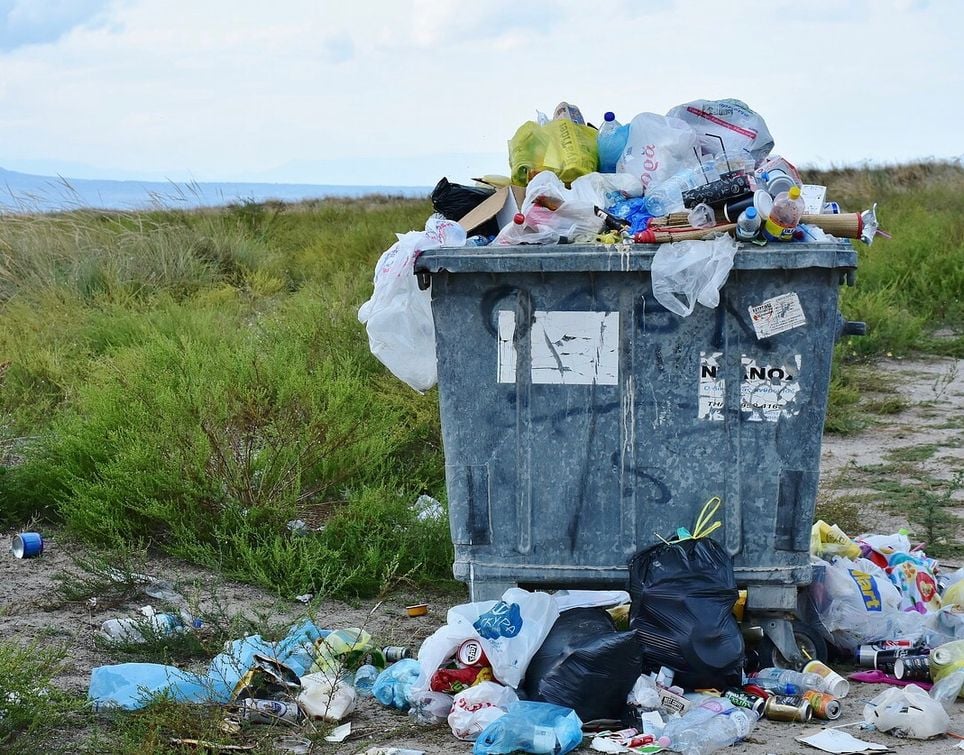 2017 también fue el año en el que Ecoembes decidió poner fin al problema de la "basuraleza", palabra con la que se hace referencia a los residuos generados por el ser humano y abandonados en la naturaleza. Así nació, junto a SEO/Birdlife, LIBERA. 2017 también fue el año en el que Ecoembes decidió poner fin al problema de la "basuraleza", palabra con la que se hace referencia a los residuos generados por el ser humano y abandonados en la naturaleza. Así nació, junto a SEO/Birdlife, LIBERA.