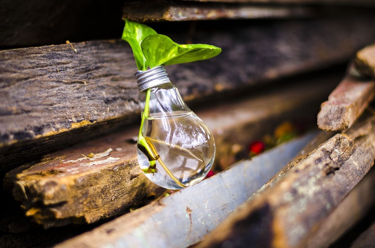La protección del medio ambiente es, a fin de cuentas, nuestro principal objetivo; y es motivador ver cómo, gracias al reciclaje, conseguimos entre todos tantos beneficios para el entorno.
