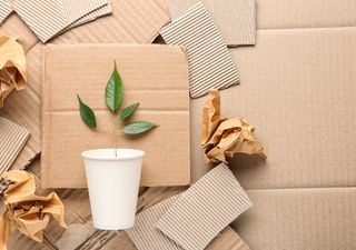 Reciclar papel solo ayuda al planeta si se usan energías renovables