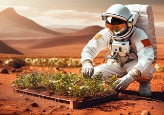 Recent onderzoek suggereert dat Mars door mensen kan worden geterravormd