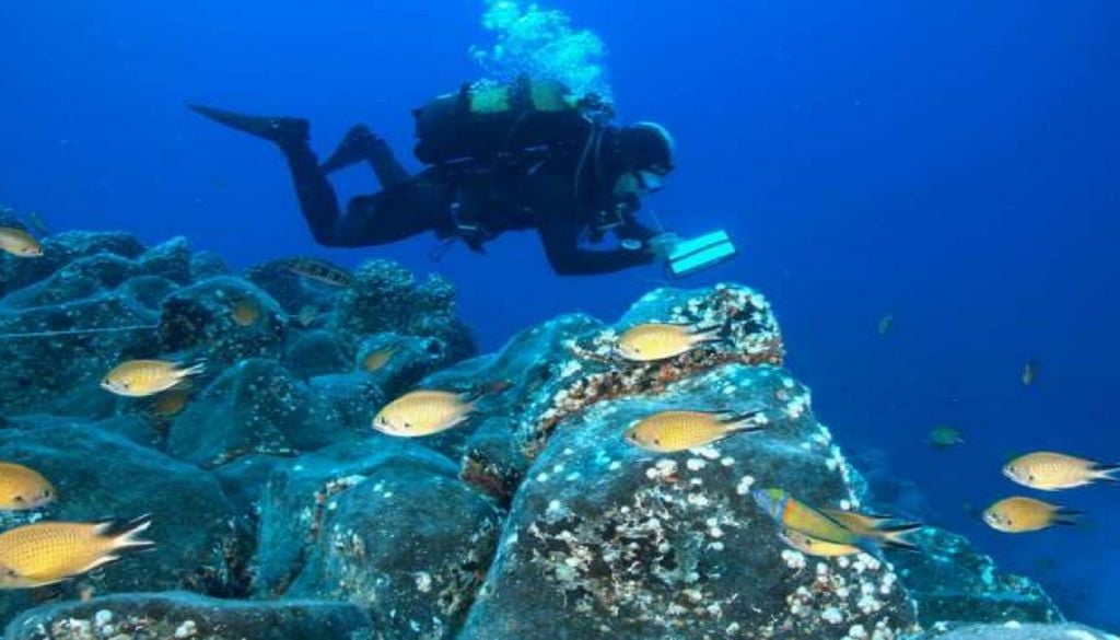 Investigador monitoriza a biodiversidade em recifes artificiais da ilha de Porto Santo. Foto: CIIMAR-Madeira
