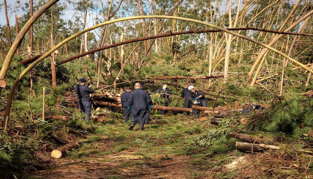 A tempestade Kristin derrubou uma parte substancial dos povoamentos florestais do Pinhal de Leiria que sobreviveram aos incêndios de 2017 e à tempestade Leslie de 2018. Foto: Marinha Portuguesa