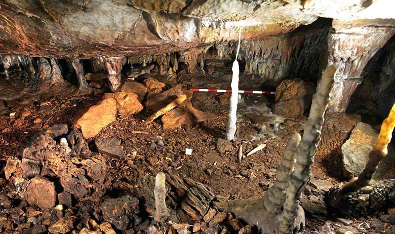Reconstrucción Climática A Partir De Una Estalagmita De La Cueva Cántabra De La Garma