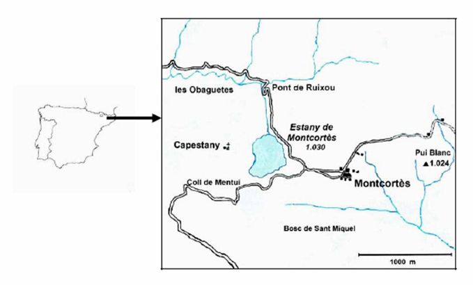 Reconstruyen Las Tormentas Extremas Ocurridas En Los últimos 600 Años En El Noroeste Peninsular