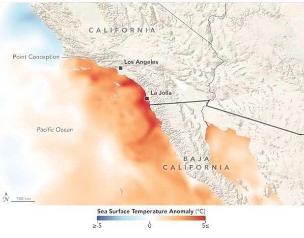 Record De Temperaturas Cálidas Del Agua En El Sur De California