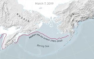 Récord más bajo en la extensión del hielo en el mar de Bering