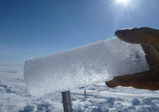 ¿Recordará la Tierra la pandemia por COVID-19?