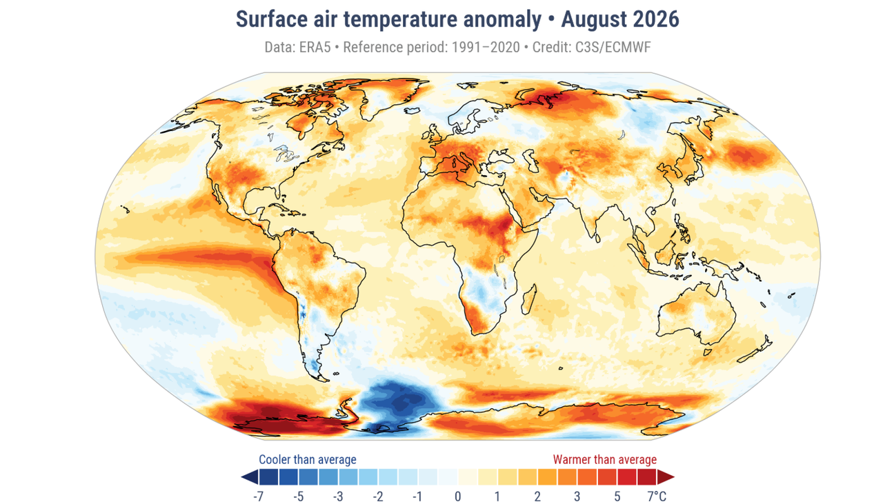 Distribución de las anomalías de la temperatura del aire cerca de la superficie en agosto de 2026, en relación con la media climatológica moderna de 1991-2020. Créditos: C3S/ECMWF.