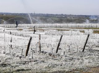 Kälterekorde im April: Neue Katastrophe für Landwirte!