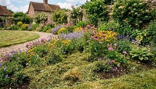 Los expertos explican por qu&eacute; deber&iacute;as poner recortes de c&eacute;sped en tus jardineras este verano