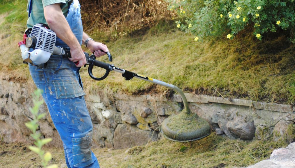Restos de césped Esos restos son muy provechosos para mantener la humedad de tus jardineras.