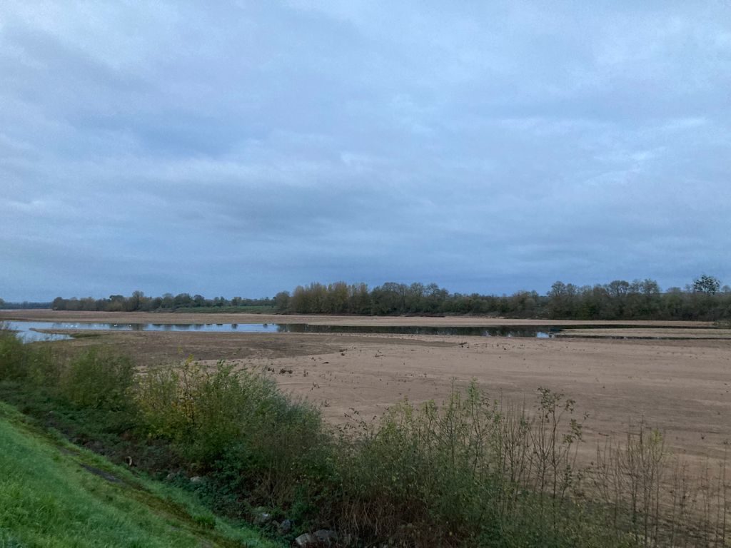 Malgré les pluies des dernières semaines, le niveau de la Loire (ici à Ingrandes-le-Fresne-sur-Loire) est extrêmement bas pour la saison.