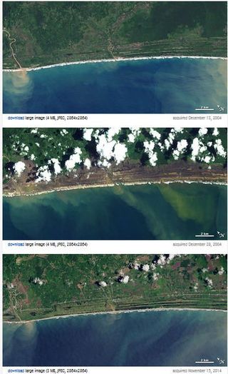 Recuperación de la costa después del tsunami del 26 de diciembre de 2004