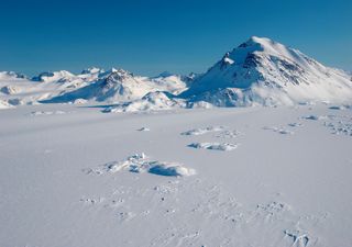 Plant fossils reveal historic Greenland ice sheet melt