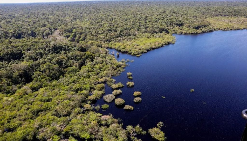 Os cálculos apontaram que a redução do desmatamento evitou 1,49 bilhão de toneladas de emissões de GEE no período de 2023 a 2026. Estudo apontou que a redução do desmatamento evitou 1,49 bilhão de toneladas de emissões de GEE no período de 2023 a 2026. Crédito: Fábio Rodriguez-Pozzebom