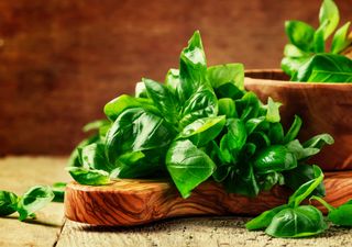 Reduce el azúcar y el estrés con esta hierba: descubrí sus increíbles beneficios