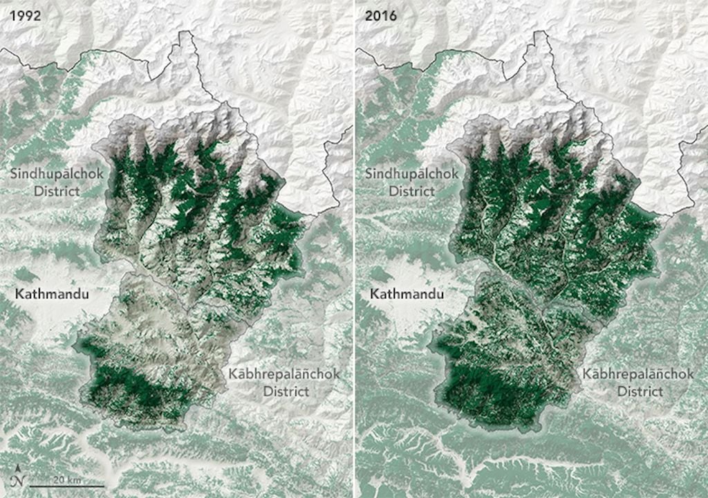 reforestación Nepal