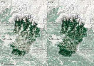 Reforestación en Nepal: una gran hazaña para ser contada