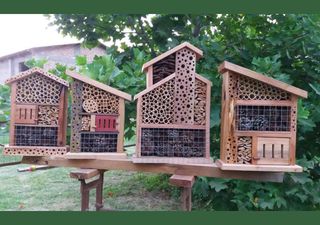 Refugios con reserva incluida: la estrategia que llega a Chile para hospedar insectos y restaurar la biodiversidad