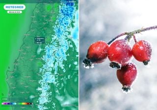 Mañana amanecer congelante en el Maule y Ñuble con -3 ° C de sensación térmica