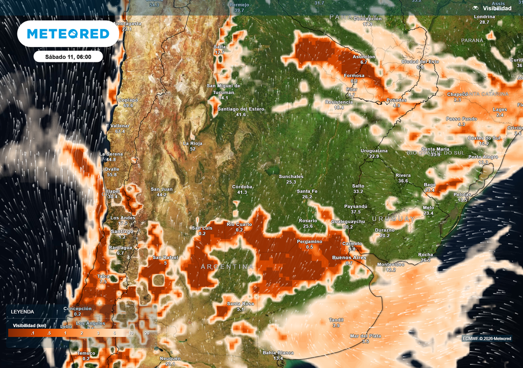 Visibilidad prevista para la mañana del sábado según el modelo ECMWF. Zonas con bancos de niebla que podrían reducir la visibilidad a menos de 1000 m