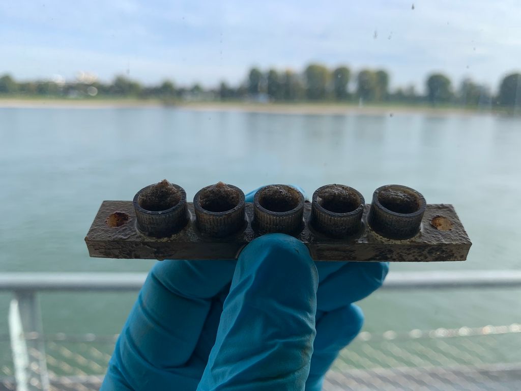 Forschende haben untersucht, welche Auswirkungen Reifenabrieb auf den Rhein hat (Probenanordnung). Forschende haben untersucht, welche Auswirkungen Reifenabrieb auf den Rhein hat (Probenanordnung).