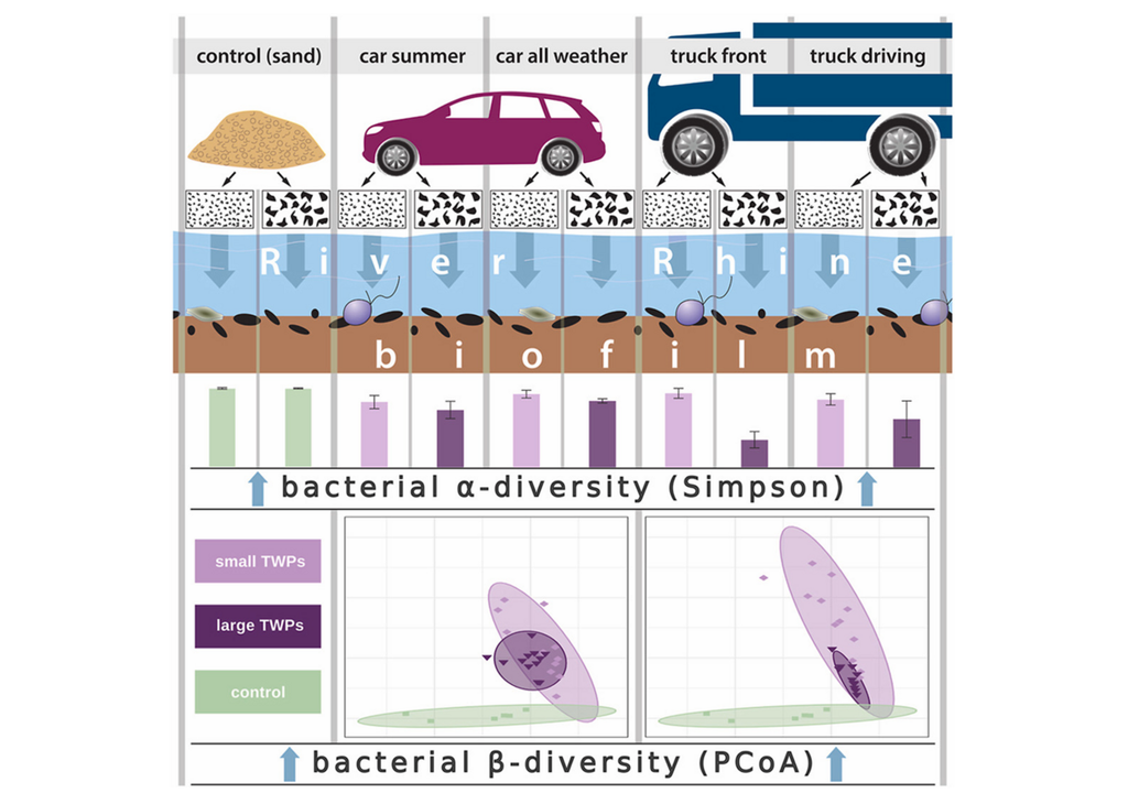Grafische Zusammenfassung der Arbeit Grafische Zusammenfassung der Arbeit