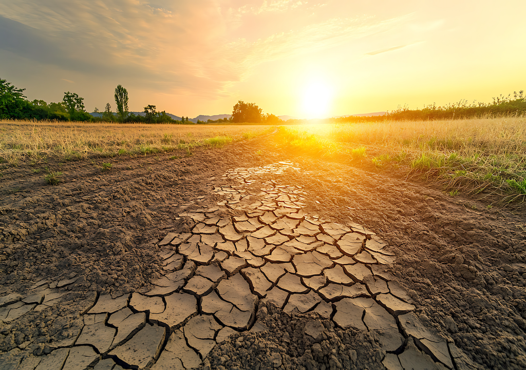 Dürre-Alarm, Deutschland, Natur Dürre-Alarm, Deutschland, Natur