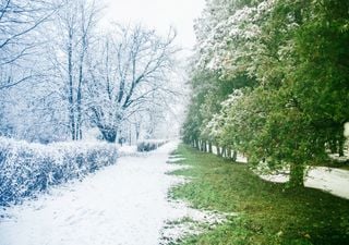 Rekorde und zu warm! Das war der Dezember und das Jahr 2022!