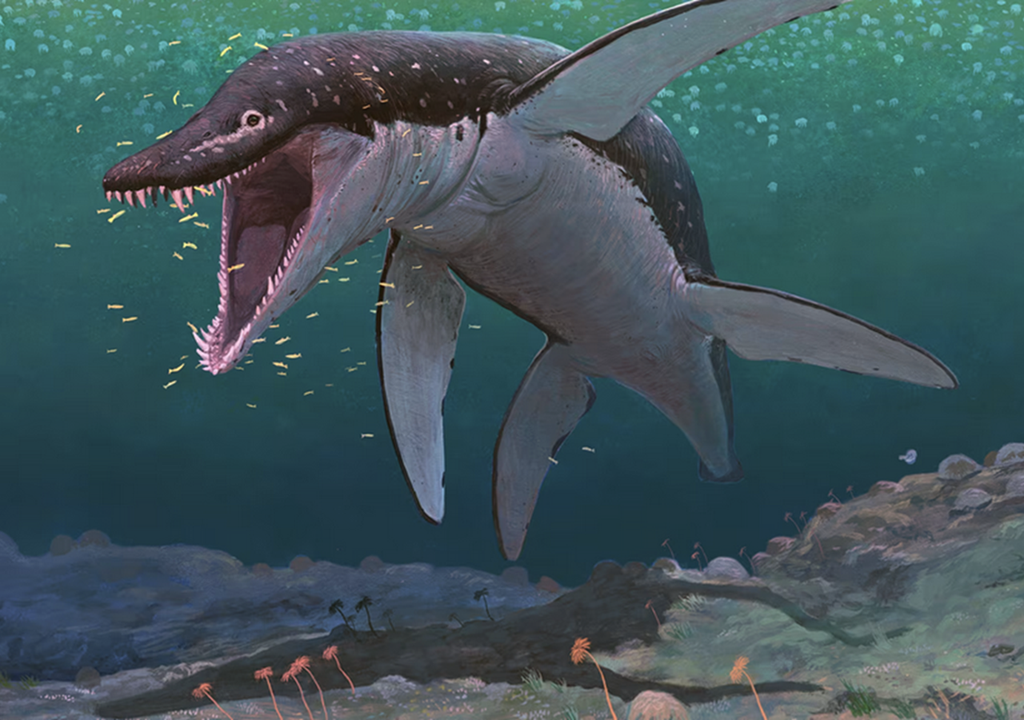 Lorrainosaurus