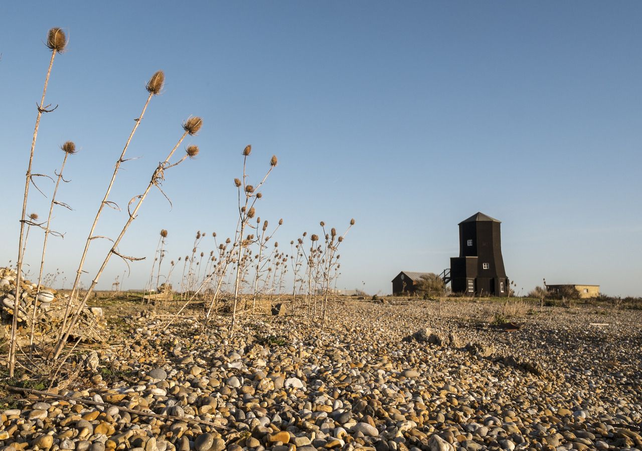 Spooky wildlife: A remote Suffolk nature site is 