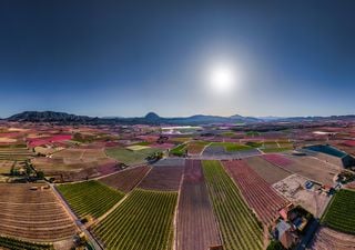 ¿España renunciará a eliminar un millón de hectáreas agrícolas hasta 2040 para garantizar agua suficiente para todos?