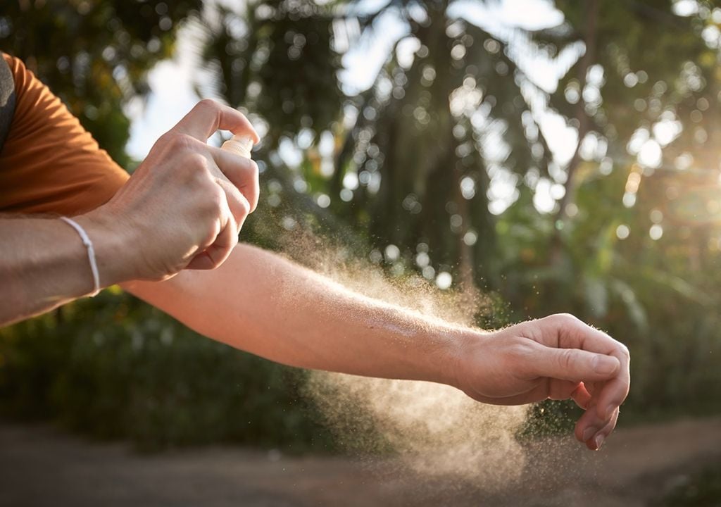 Repelentes caseiros muito eficazes contra mosquitos