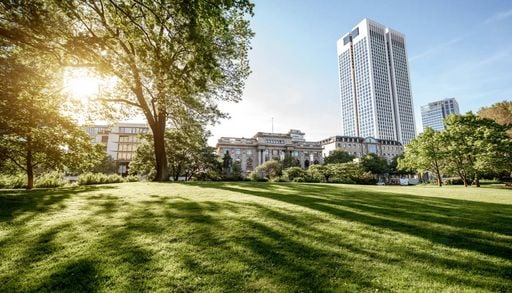 Repensar as cidades para proteger a biodiversidade urbana