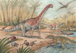 Repercusión mundial: descubren cerca de General Roca, Río Negro, una nueva especie de dinosaurio titanosaurio patagónico