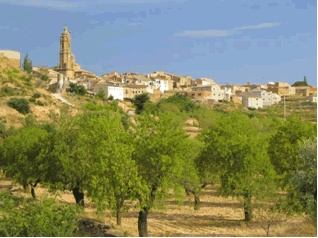 Reportaje Sobre Los Efectos Del Tornado Asociado A La Supercélula De Alcañiz (Teruel) Del 23 De Julio Del 2003 Reportaje Sobre Los Efectos Del Tornado Asociado A La Supercélula De Alcañiz (Teruel) Del 23 De Julio Del 2003
