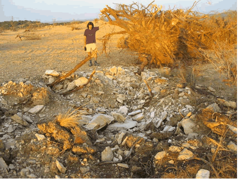 Reportaje Sobre Los Efectos Del Tornado Asociado A La Supercélula De Alcañiz (Teruel) Del 23 De Julio Del 2003 Reportaje Sobre Los Efectos Del Tornado Asociado A La Supercélula De Alcañiz (Teruel) Del 23 De Julio Del 2003