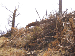 Reportaje Sobre Los Efectos Del Tornado Asociado A La Supercélula De Alcañiz (Teruel) Del 23 De Julio Del 2003 Reportaje Sobre Los Efectos Del Tornado Asociado A La Supercélula De Alcañiz (Teruel) Del 23 De Julio Del 2003