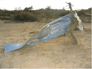 Reportaje Sobre Los Efectos Del Tornado Asociado A La Supercélula De Alcañiz (Teruel) Del 23 De Julio Del 2003 Reportaje Sobre Los Efectos Del Tornado Asociado A La Supercélula De Alcañiz (Teruel) Del 23 De Julio Del 2003