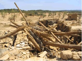 Reportaje Sobre Los Efectos Del Tornado Asociado A La Supercélula De Alcañiz (Teruel) Del 23 De Julio Del 2003 Reportaje Sobre Los Efectos Del Tornado Asociado A La Supercélula De Alcañiz (Teruel) Del 23 De Julio Del 2003