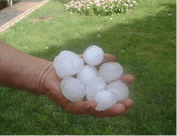 Reportaje Sobre Los Efectos Del Tornado Asociado A La Supercélula De Alcañiz (Teruel) Del 23 De Julio Del 2003 Reportaje Sobre Los Efectos Del Tornado Asociado A La Supercélula De Alcañiz (Teruel) Del 23 De Julio Del 2003