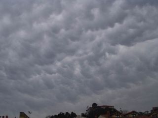 REPORTAJE Y EXPLICACIÓN DE MAMMATUS EN CANTABRIA DEL 21 DE NOVIEMBRE DEL 2003