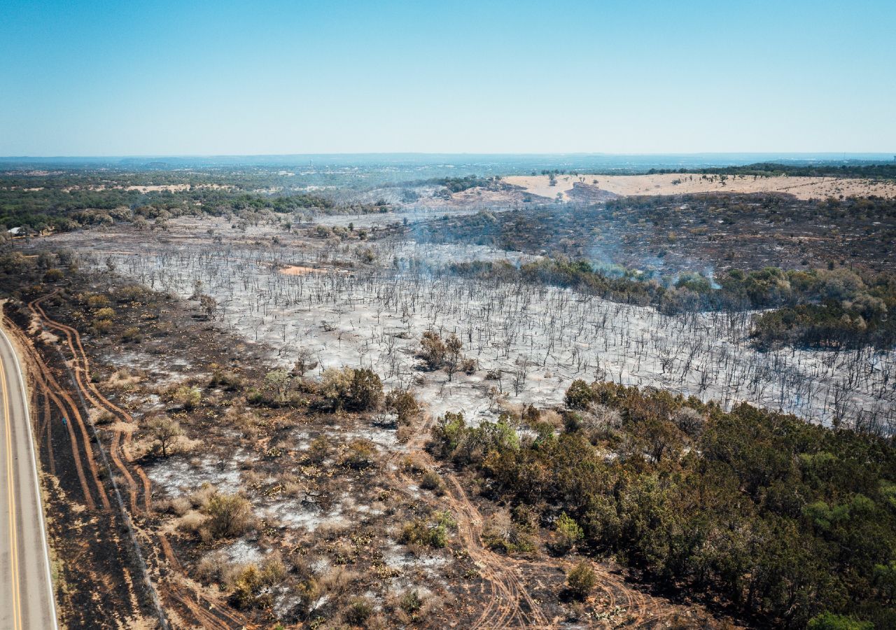 A área ardida dos vários incêndios no Norte do Texas superou o meio milhão de hectares.