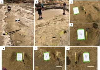 Researchers discover one-of-a-kind early human fossil footprint trackway in North Africa
