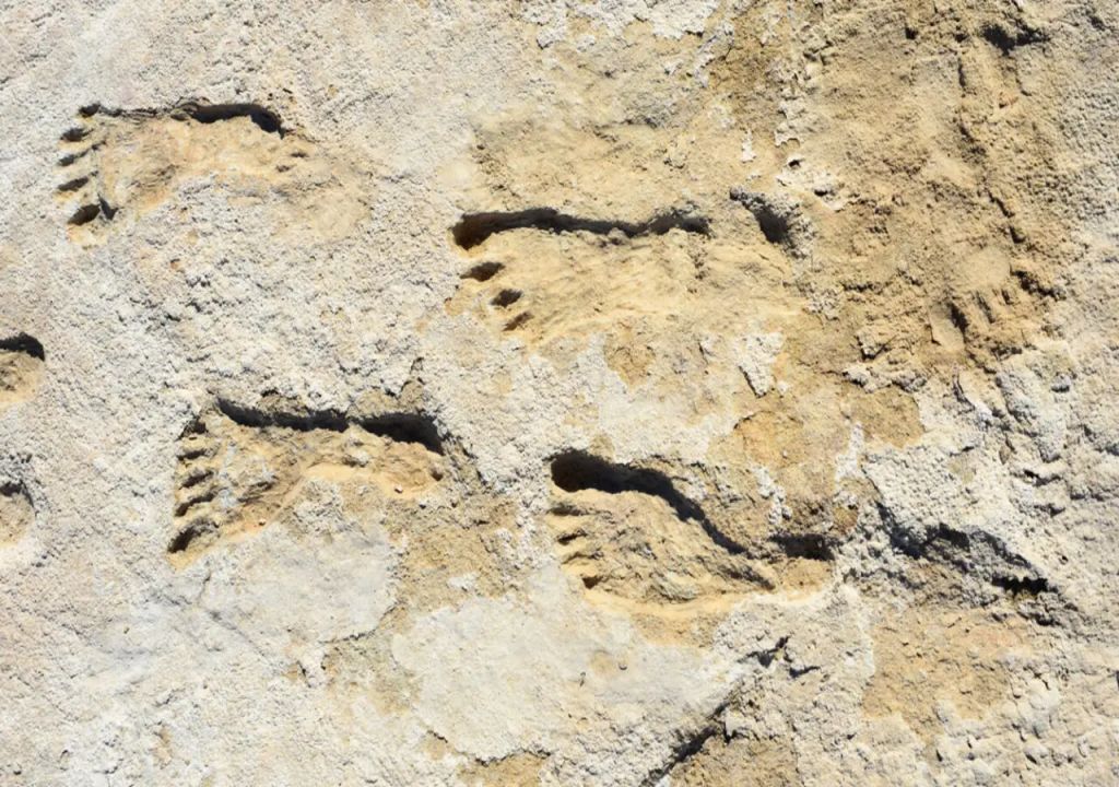 human footprints from over 20,000 years ago