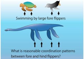 Researchers use robotics to reconstruct how plesiosaurs would have swam